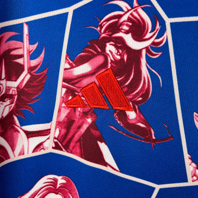 Japan 23-24 Saint Seiya edition